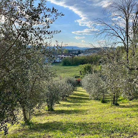 Villa Il Nido Di Margherita San Giovanni Valdarno Exterior foto